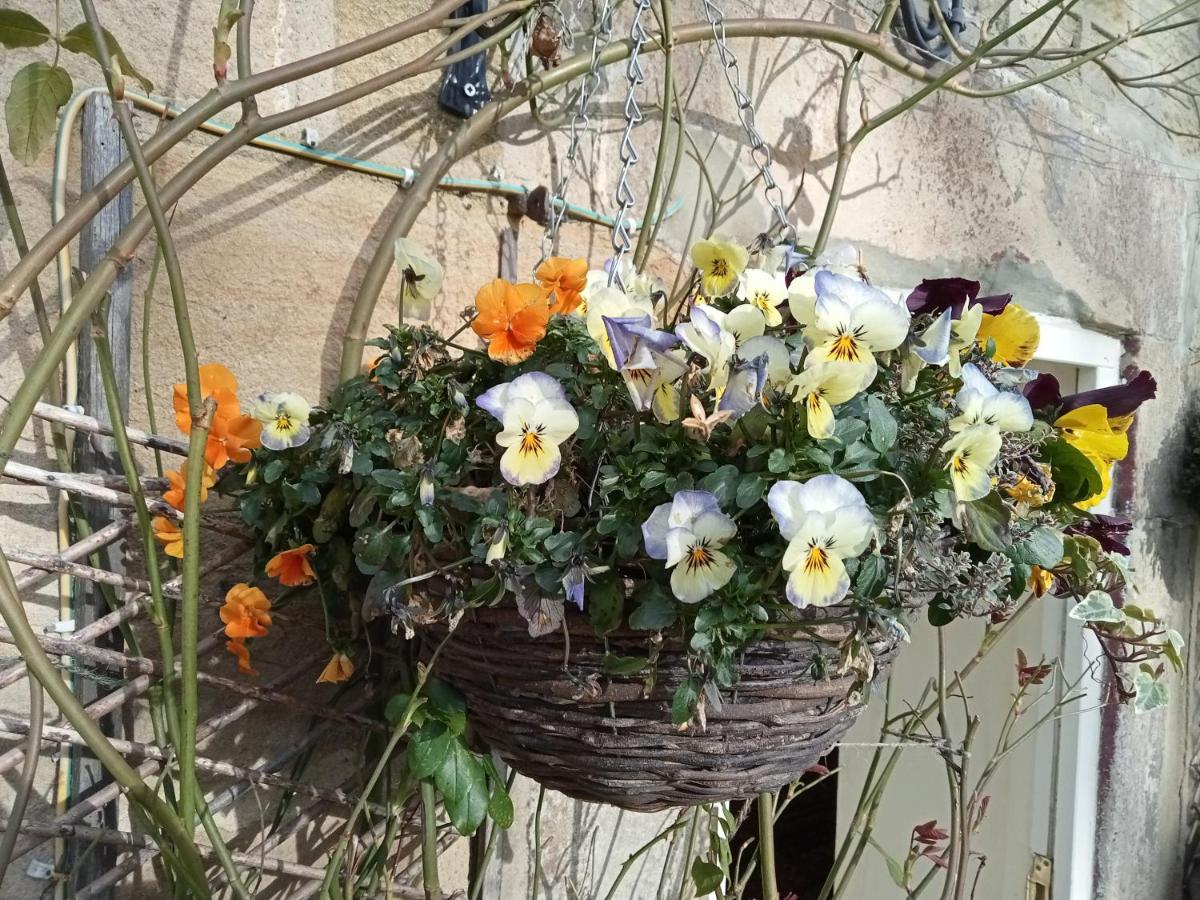 ריפון Orchard Cottage מראה חיצוני תמונה